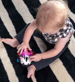 Baby Einstein Aktivitetslegetøj - Zen Oball Køretøj