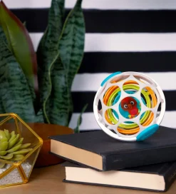 Baby Einstein Aktivitetslegetøj - Roxys Gyroskop