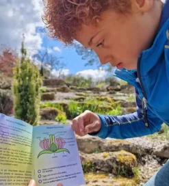 Dr Zigs Sæbeboblesæt - Bubble Pollinator Kit