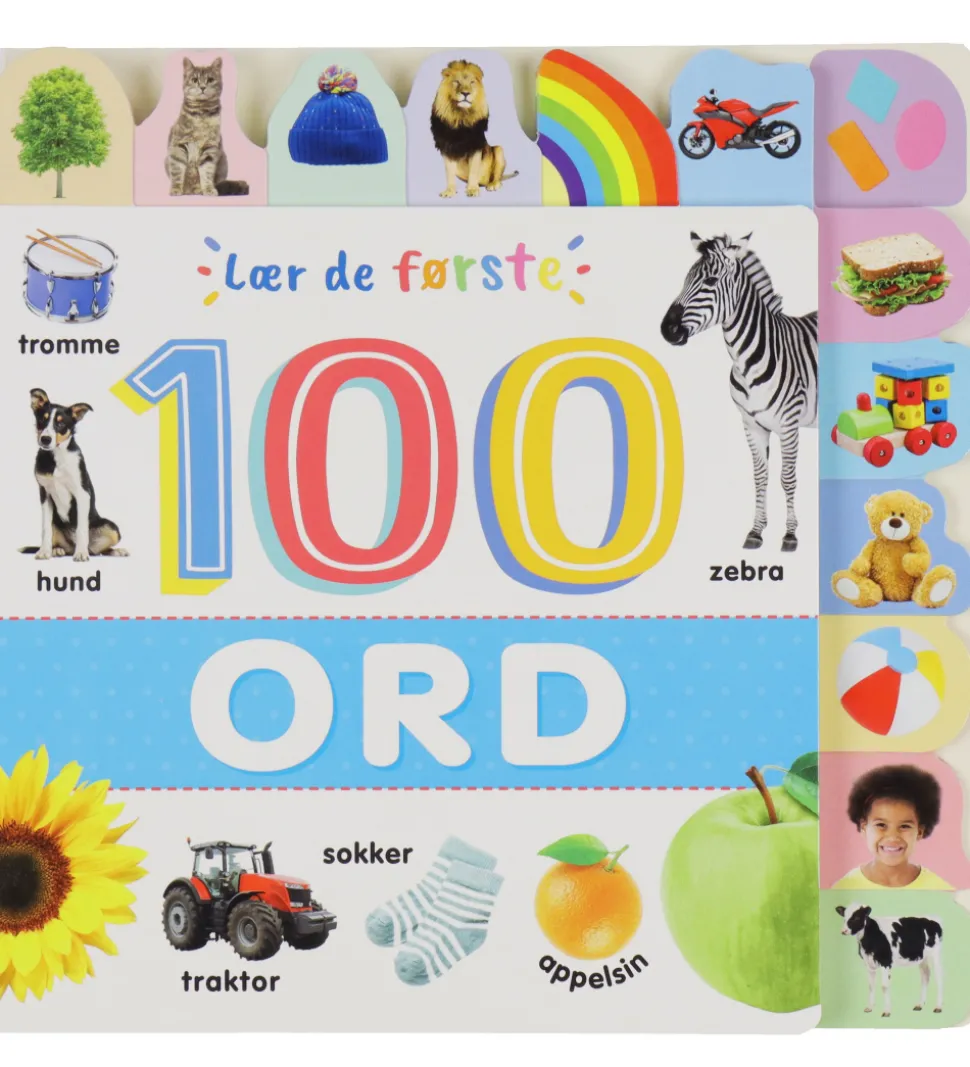Forlaget Bolden Billedbog - Lær de første 100 ord