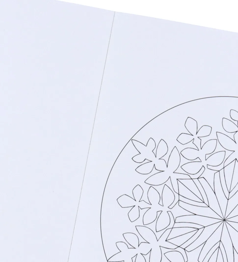 Mandalas Malebog - Isblomster - Bind 2