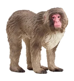 Schleich Wild Life - Japansk Makak-abe - H: 6,9 cm - 14871