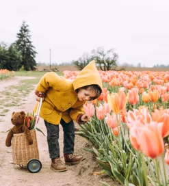 Senger Naturwelt Bamse - Stor - Bjørn - Brun
