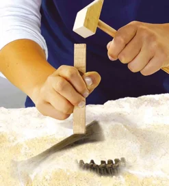 SES Creative Udhug - Explore - Triceratops og Skelet