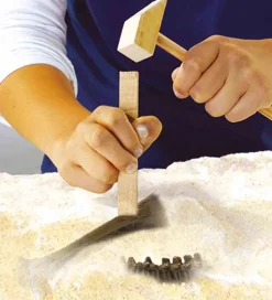 SES Creative Udhug - Explore - Stegosaurus og Skelet