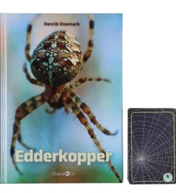 Straarup & Co Sampak - Spil & Læs - Edderkopper