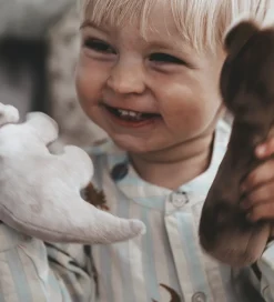 That's Mine Rangle - Ethan - Dino